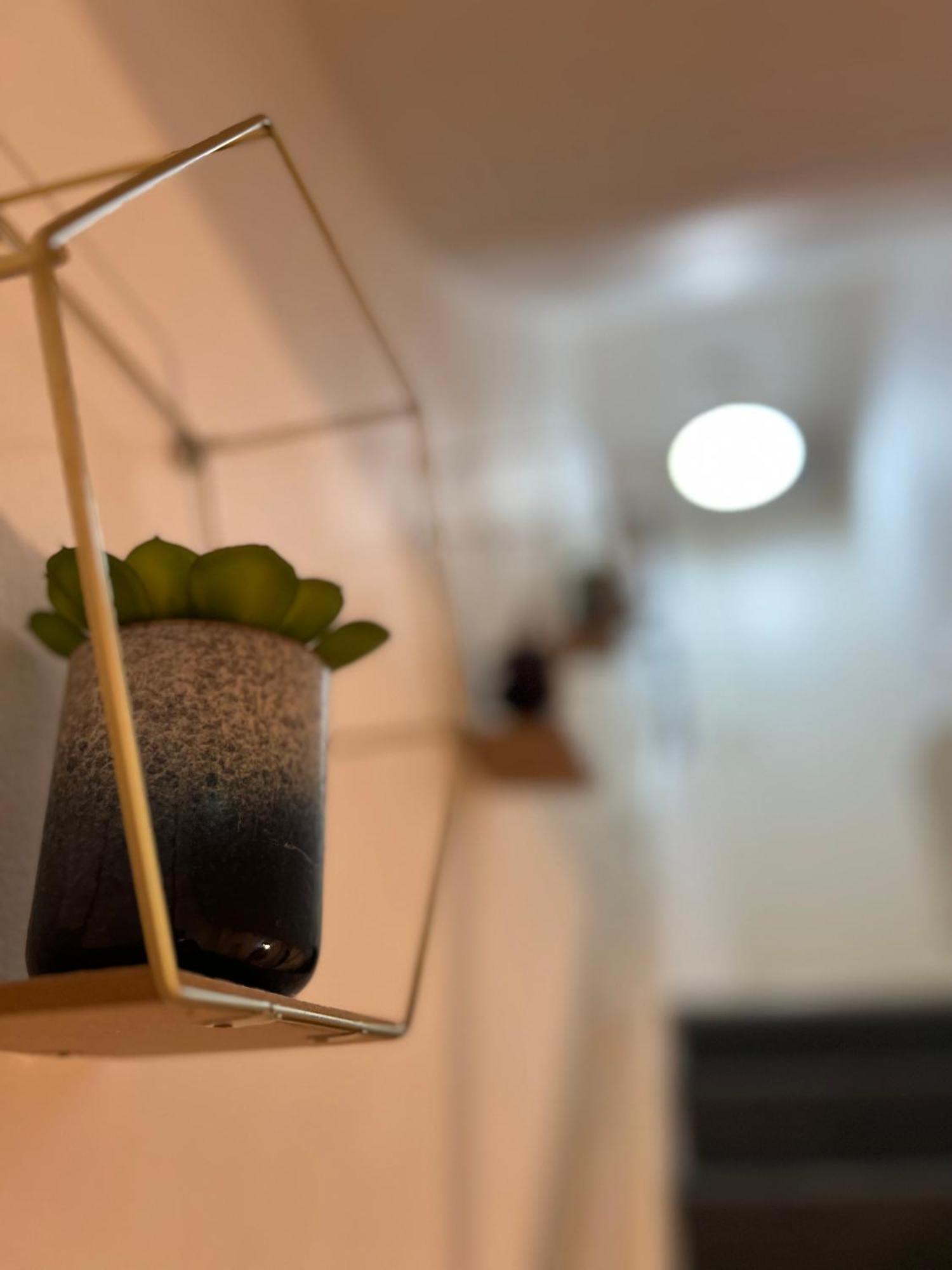 Homestay Amazing In The Heart Of